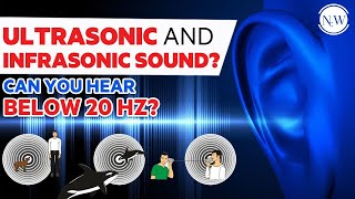 Can You Hear Below 20HZ  Ultrasonic and Infrasonic Sound  Physics Wallah Shorts [upl. by Waylan]