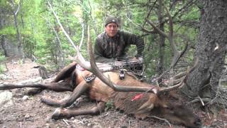 2013 Archery Elk Hunt in Colorado [upl. by Landel565]