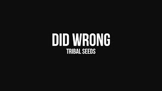 Tribal Seeds  Did Wrong OFFICIAL AUDIO [upl. by Tneciv]