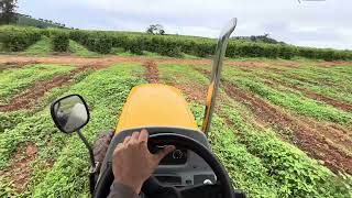 Aplicação de herbicida e pré emergente na linha do plantio do café [upl. by Sileas]