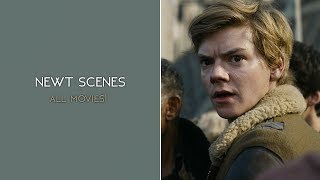 all newt scenes [upl. by Ariad]