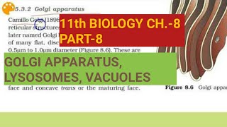 Class 11 biology Ch8Part8Golgi apparatuslysosomesvacuolesStudy with Farru [upl. by Yeldah406]