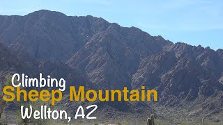 Climbing Sheep Mountain  Wellton AZ [upl. by Ehudd305]