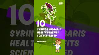 Syringa vulgaris Lilac Health Benefits ScienceBased [upl. by Felike]