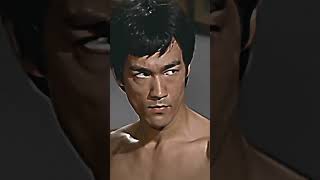 bruce lee fight scenes [upl. by Aynnat]