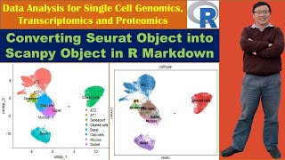 Converting Seurat Object into Scanpy Object in R Markdown [upl. by Iran]