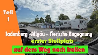 Vlog1  Anreise nach Italien Stellplatz in Ladenburg und eine Tierische Begegnung im Allgäu [upl. by Bernadette449]