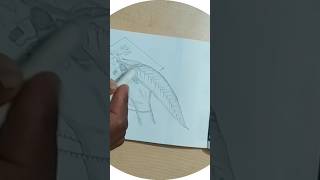 How to draw hand pencil sketch Rakesh Art [upl. by Scarrow]