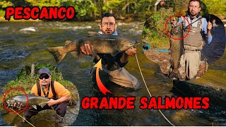 PESCANDO GRANDES SALMONES [upl. by Bayly]