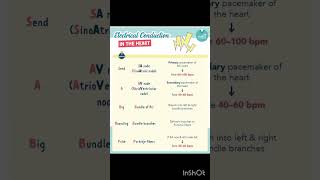 CARDIAC CONDUCTION SYSTEM IN LESS THAN A MINUTE 🫀❤️Nursing made easy nclexbiology [upl. by Corsetti101]