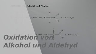 Oxidation von Alkohol und Aldehyd [upl. by Annairoc212]