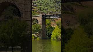 Douro Valley Wine Tour From Porto by livingtours [upl. by Aniteb]