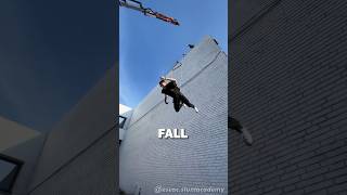 Professional Fallers [upl. by Giorgio179]