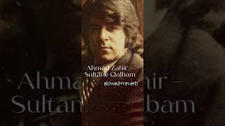 Ahmad Zahir  Sultane Qalbamslowedreverblove afghan [upl. by Zeuqram]