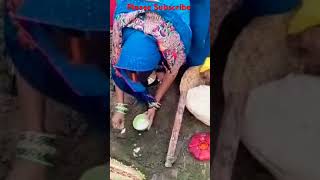 Kahawa Ke Piyar Mati  Saadi ka geetmarriage Short video Matkor GeetMatkor Short Video Shadi [upl. by Sidra702]