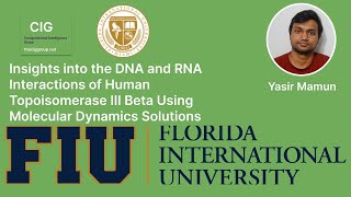 Insights into the DNA and RNA Interactions of Human Topoisomerase III Beta Using Molecular Dynamics [upl. by Wanonah]