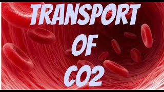 Carbon dioxide transportphysiologyeasydiagramsdetailed [upl. by Rese]