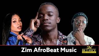 Zim AfroBeat MIXTAPE Ft Kae Chaps Winky dShashiNish TsMaster H DJ TNICE [upl. by Ednutabab389]