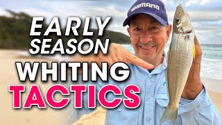 Early Season Whiting TACTICS You Need to Know Beach Fishing 😎 [upl. by Thanh213]