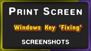 Print Screen Key for Taking Screenshots on Windows PC Usage and Troubleshooting [upl. by Aierbma]