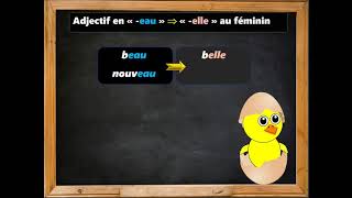 Accord féminin des adjectifs en quotouquot en quotguquot en quoteauquot et en quotlquot [upl. by Letnahc]