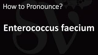 How to Pronounce Enterococcus faecium CORRECTLY [upl. by Berriman]