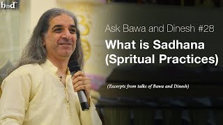 What is Sadhana Spiritual Practices  Ask Bawa and Dinesh 28 [upl. by Pellet]