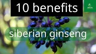 10 benefits of siberian ginseng  siberian ginseng  Health Templewas [upl. by Ayatal]