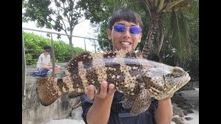 Grouper fishing in Singapore [upl. by Aneeras194]