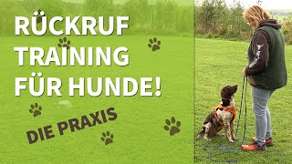 Rückruftraining für Hunde ➡️ Die Praxis ✔️ [upl. by Cornelius]