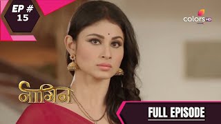 Naagin  Season 1  नागिन  Episode 15 [upl. by Nelrac]