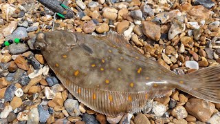 plaice fishing on the south coast sea fishing UK [upl. by Einuj]