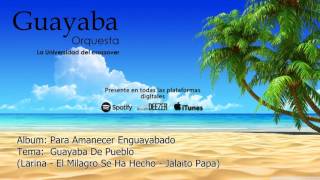 Guayaba Orquesta  Larina  El Milagro Se Ha Hecho  Jalaito Papa Audio Oficial [upl. by Hugo]