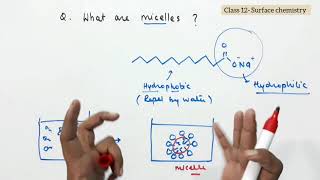 QWhat are micelles or associated colloids Class  12 Surface chemistry [upl. by Larue256]