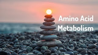 Amino Acid Metabolism Energy HealingFrequency Healing Meditation [upl. by Dulla]