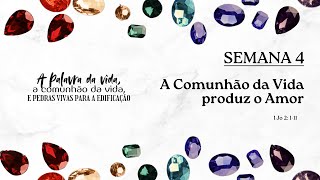 A COMUNHÃO DA VIDA PRODUZ O AMOR 1 Jo 2 111 [upl. by Schlenger471]