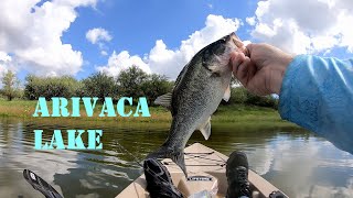 Fishing For Bass At Arivaca Lake Az  These Fish Are THICK [upl. by Corilla]