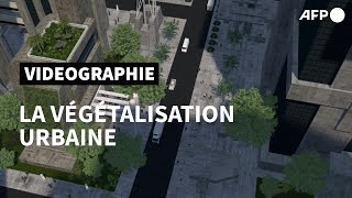 Comprendre la végétalisation urbaine  AFP [upl. by Ursola]