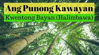 Ang Punong Kawayan  Araling Pilipino Kwentong Bayan Maikling Kwento [upl. by Richela]