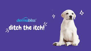 Dermabliss™ Allergy amp Immune Supplement for Dogs [upl. by Catt]