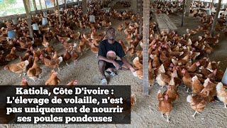 Katiola Côte Divoire  Lélevage de volaille nest pas uniquement de nourrir ses poules pondeuses [upl. by Griffin]