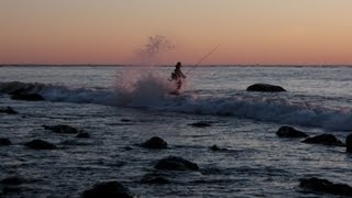 Surf Fishing for Pollock at Montauk Point [upl. by Annawt955]