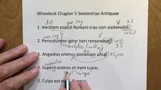 Wheelock 5 Sententiae Antiquae [upl. by Derayne]