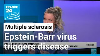 Multiple sclerosis Study finds EpsteinBarr virus triggers autoimmune disease • FRANCE 24 English [upl. by Omrellig87]