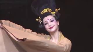 Beautiful Chinese Classical Dance Song Diện Yến Tuân [upl. by Daitzman]