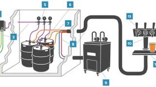 Draft Beer System [upl. by Remlap780]