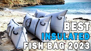 Best Insulated Fish Bag  Buying Guide 2023 Update [upl. by Tarfe]