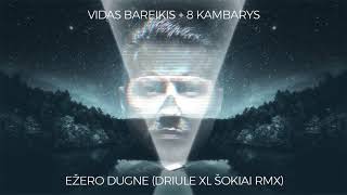 Vidas Bareikis ir 8 Kambarys  Ežero dugne Driule XL Šokiai Rmx [upl. by Ahsercal16]