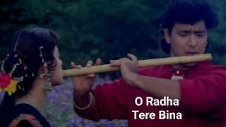 O Radha Tere Bina  Full Song  Sabir Kumar amp Lata Mangeshkar  Radha Ka Sangam 1992 [upl. by Mccord794]