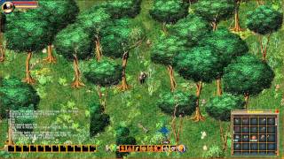 Lets Show Ultima Online  009  Unser eigenes Haus [upl. by Hpesoj106]